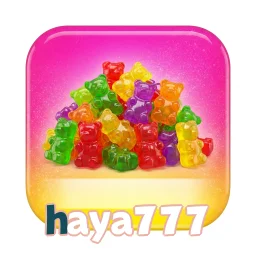 haya777